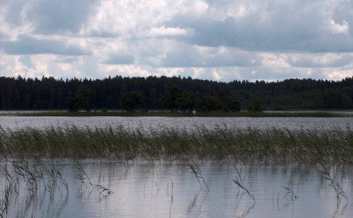 20_Ilgio ez. sala. Nuotr. is ZNPD archyvo.jpg